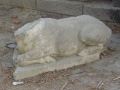 AfghanistanHesmat-Bilder 163