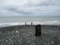 IMG_0256
