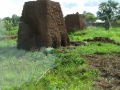 Uganda 084